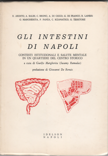 Copertina Napoli e Psichiatria